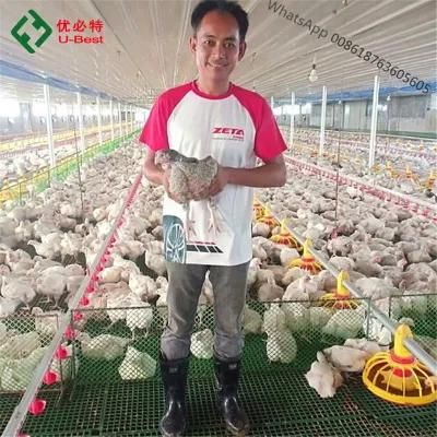 U-Best Automatic Poultry Feeding Equipment for Chicken Broiler Breeder