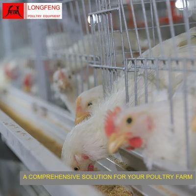 Nipple Drinking Line Reliable and Safety Egg Incubator Broiler Chicken Cage