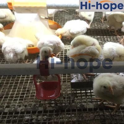 Environmental Controlled Poultry Farming Equipment