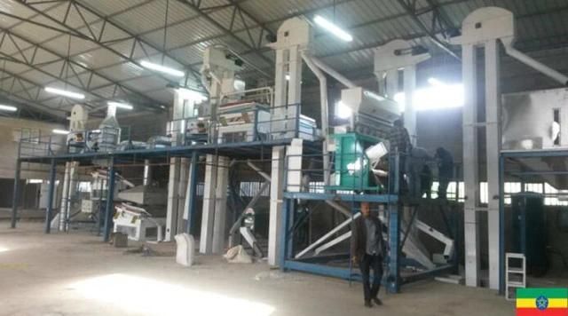 Oats Barley Buckwheat Seed Cleaning Plant