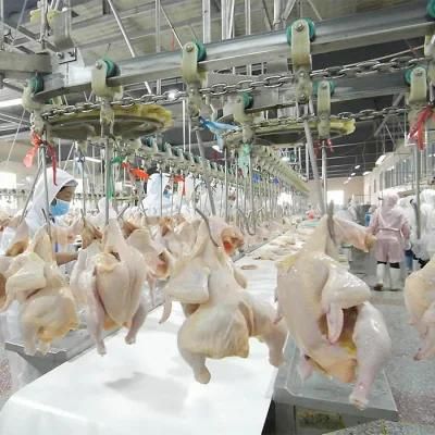 Halal Slaughterhouses Equipment Machine Slaughterhouse Plant Chicken Poultry Slaughter Line