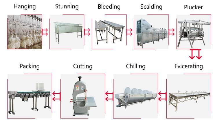 Chicken Scalding Machine Before Feather Removing