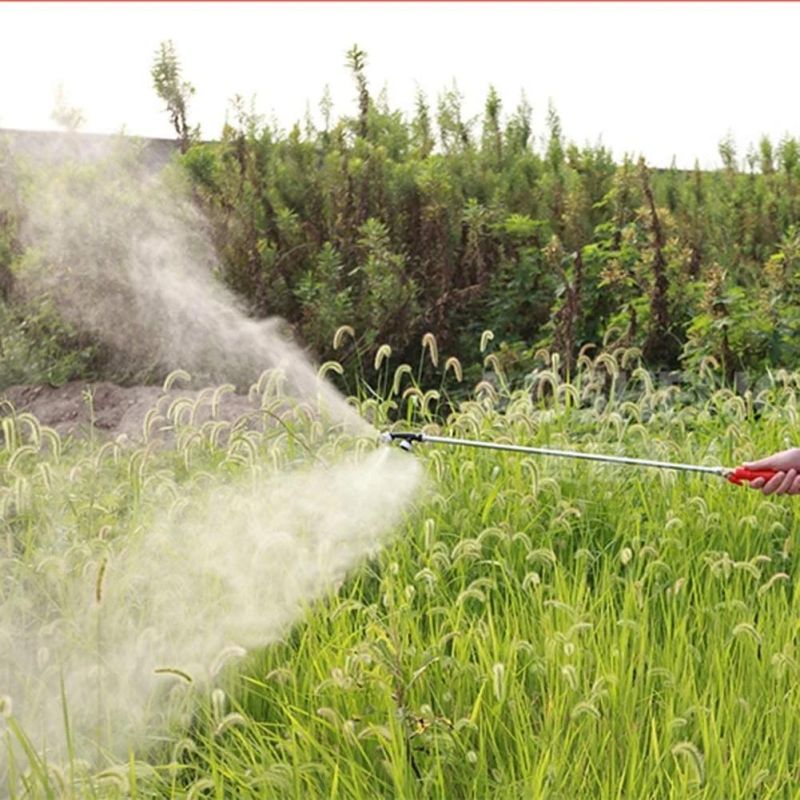 5.0HP Super Professional Agricultural/Farm/Garden Petrol Sprayer/Spraying Machine-Power Tools