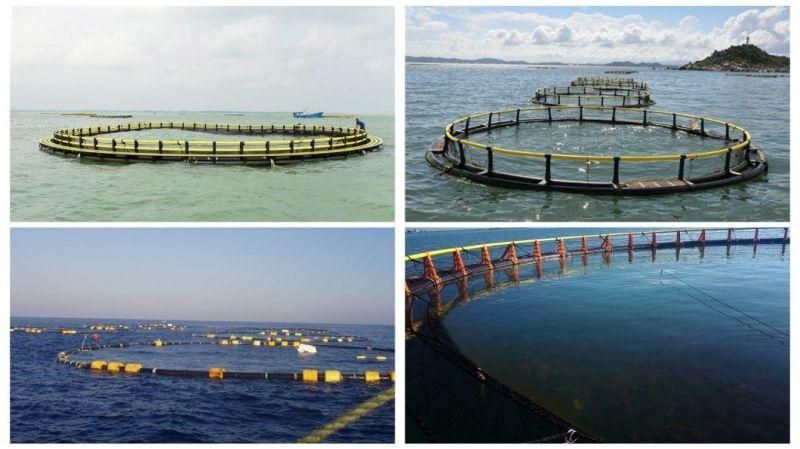 2022 Open Sea Fish Farming Cage with Low Price
