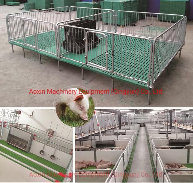 Pig Farm Equipment Growing Pig Nursery Pen for Sale
