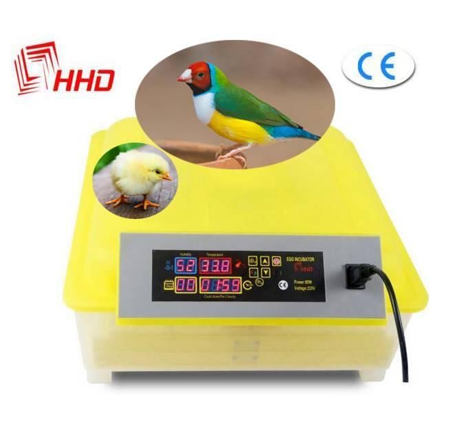 Hhd Automatic Chicken Egg Incubator for 48 Eggs Ce Marked (YZ8-48)