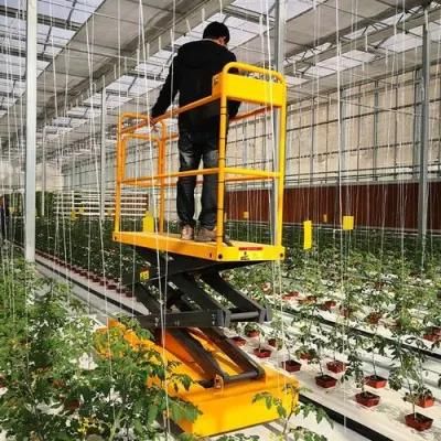 Styles of Greenhouse Specialized Scissor Lift Table Platform/Trolley Cart for High Position Fruit Picking