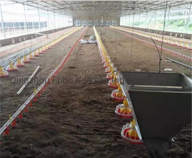 Full Automatic Chicken Poultry House/Farm Feeding Equipment for Broiler/Breeder/Layer