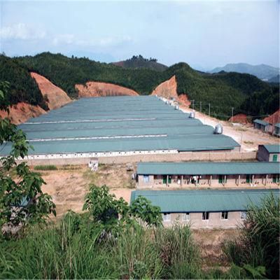 Low Cost High Yield Automatic Steel Poultry Farm Equipment