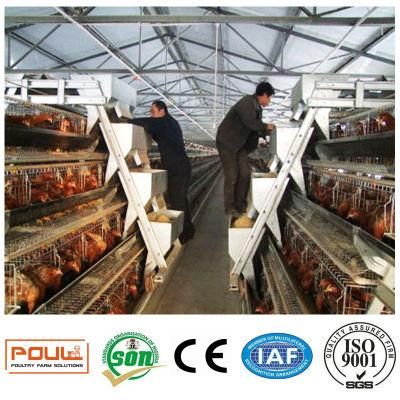 Automatic Chicken Cage for Egg Laying Hens