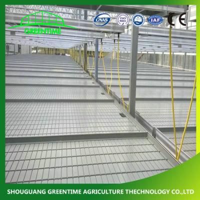 Commercial Flood Table Rolling Bench System for Hydroponic