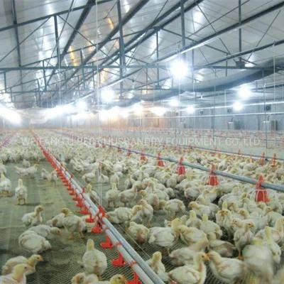 Chicken Farm Automatic Broiler Poultry Equipment