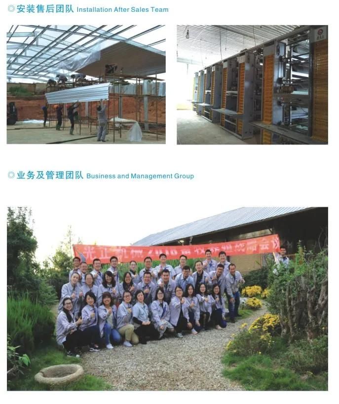 One-Stop Service Export of Prefabricated Steel Structure Chicken Coop Equipment