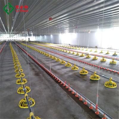Automatic Chicken Facco Equipment for Poulty Farm Broiler House Breeder Shed