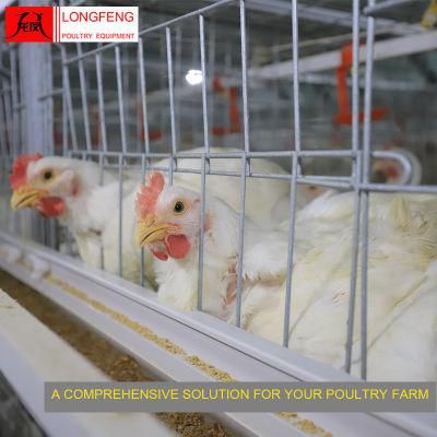 1250*800mm Poultry Farm Equipment Broiler Chicken Cage with on-Site Installation Instruction