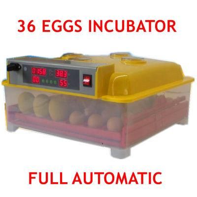 Capacity of 36 Eggs Best Price Full Automatic Egg Incubators
