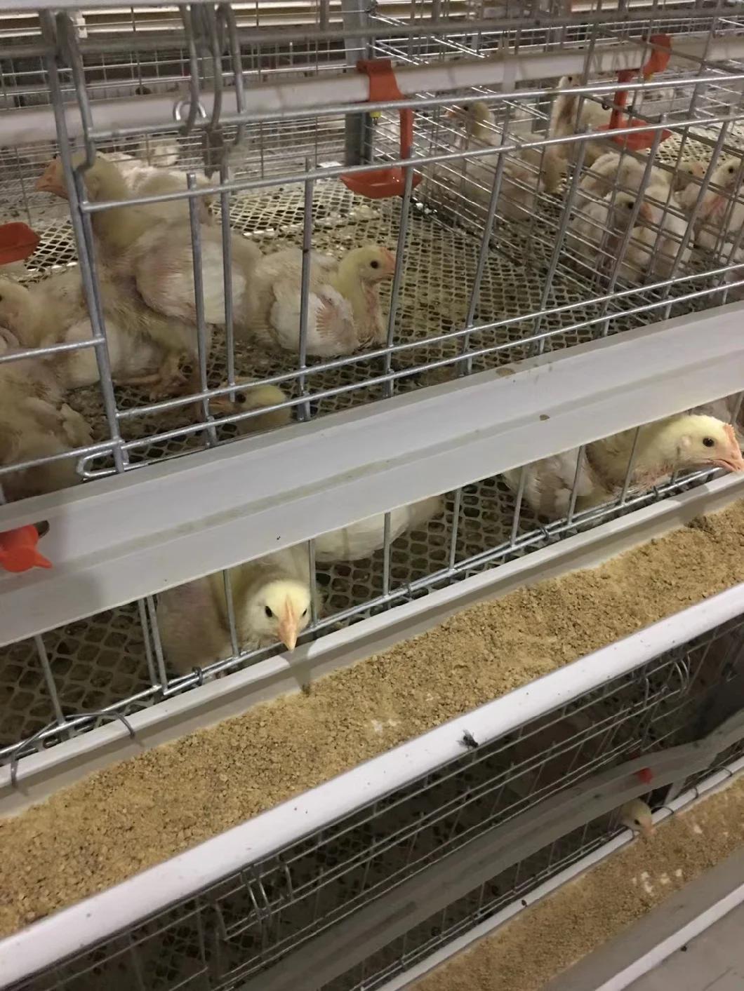 Factory Price Automatic Galvanized Farm Equipment Livestock Poultry Bird Battery Chicken Cages for Feeding Drinking for Chicken House/Broiler/Breeder/Layer