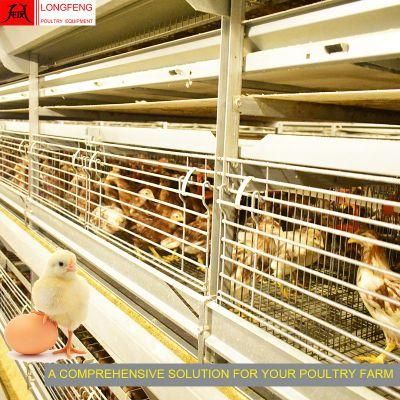 Comprehensive Solution for Poultry Farm Large Scale Pullet Layer Chicken Cage