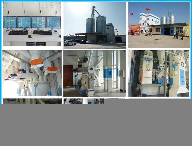 Electric Cattle/Pig/Horse Feed Mixing Equipment