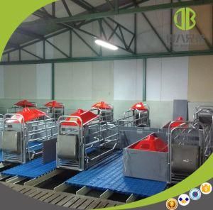 Pig Farm Equipment Hot DIP Galvanized Farrowing Crate