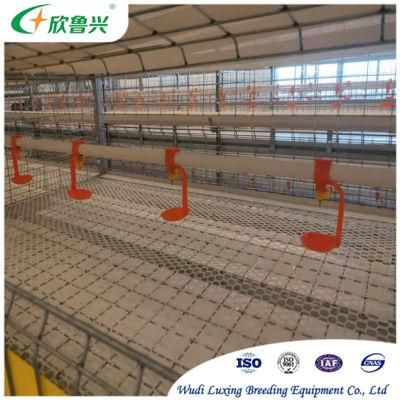 Factory Manufacture Automatic Hot Galvanized Poultry Farming Equipment Layers / Broilers Chicken Battery Cage / Cages with Manure Cleaning System