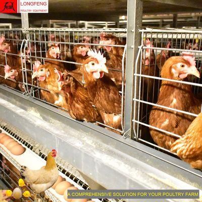 Automatic Chicken Cage Farming 1 Year Warranty Farm Poultry Feeding Equipment