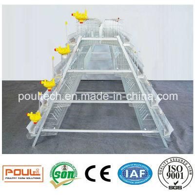 Hot Galvanized Chicken Cage for a Long Time