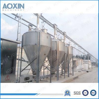 Automatic Feeding System Livestock Pig Farm Equipment