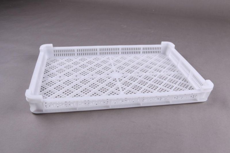 Frozen Plate for Dressing Plant for Broiler Dressing Plant for Chicken