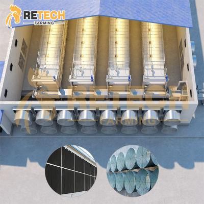 Automatic broiler/layer chicken cage poultry farm equipment