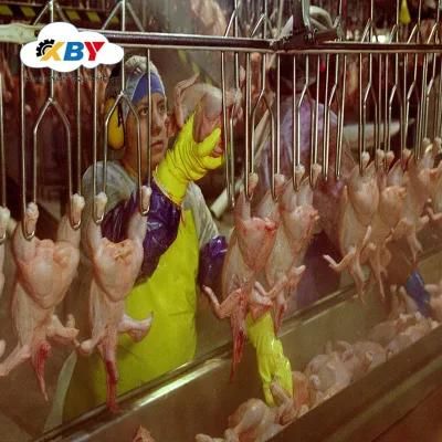 Customized Poultry Slaughter Equipment 500-10000 Bph for Chicken Abattoir Machine