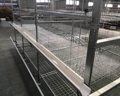 Aniti-Corrosion Broiler Cages for Chicken Farm