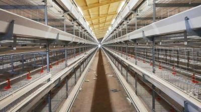 Layer Chicken Battery Cage in Poultry Farm Hot Sale