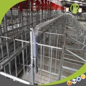 Factory Supply Wholesale Gestation Stall or Individual Stall for Sow