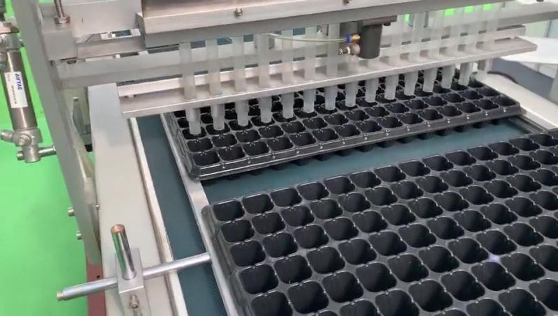 Automatic Vegetable Seeder Seed Sowing Machine Line for Seedling Tray