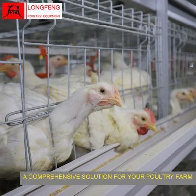 Hot Sale Longfeng Farming China Farms Poultry Farm Layer Cages Equipment 9lcr-3120