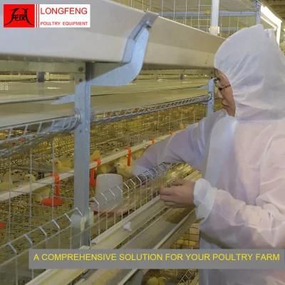 Chicken Local After-Sale Service in Asia Layer Cages Poultry Farm Equipment