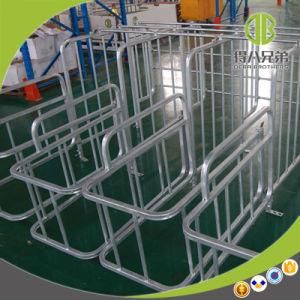 Quality Custom Pig Project Individual Stall Products
