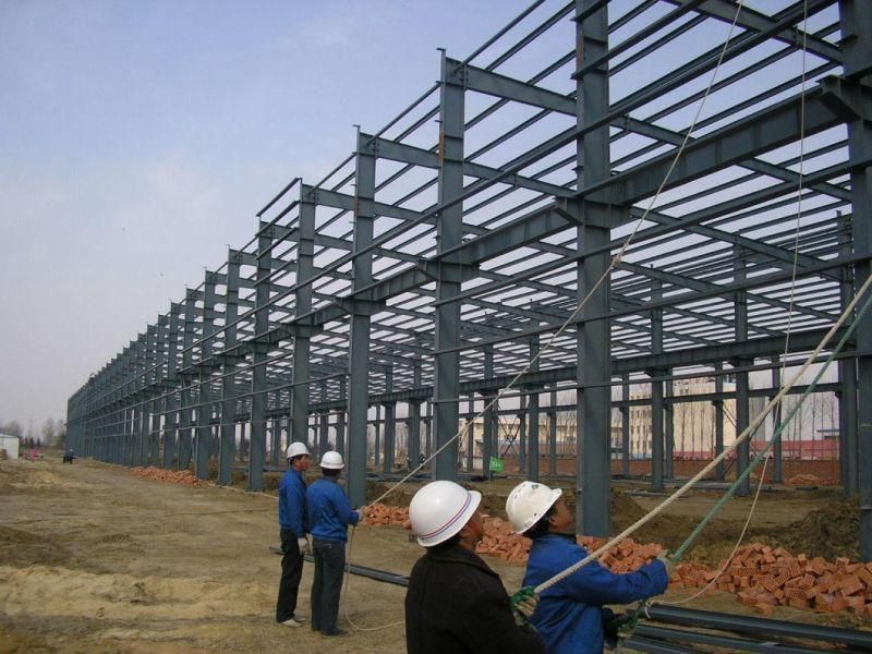 Best Design and Low Cost for The Steel Structure Workshop/Warehouse