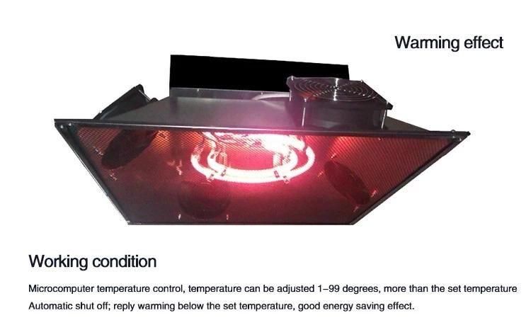 Chicken Farm House Radiant Gas Brooder, Poultry Heater