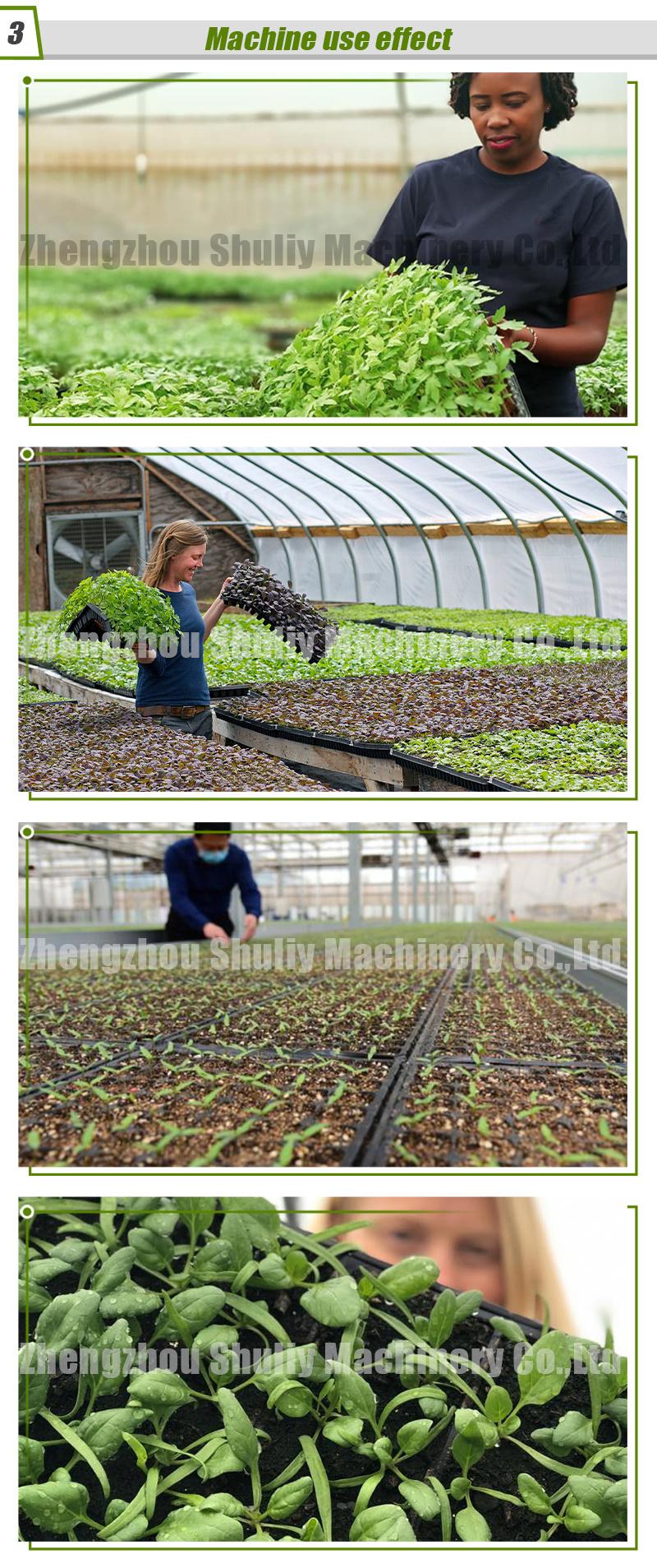 Automatic Tray Seeding Machine Nursery Seeding Seedling Machine for Seedings