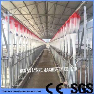 Best Quality Auto Poultry Pig Feeding System with Hot DIP Galvanized Steel