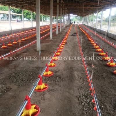 Agriculture Farms Poultry Farming Control Shed Equipment for Chicken
