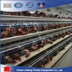 Jinfeng Automatic Battery Cage Equipment Poultry Cage with Feeding System Livestock Cage Chicken Cage