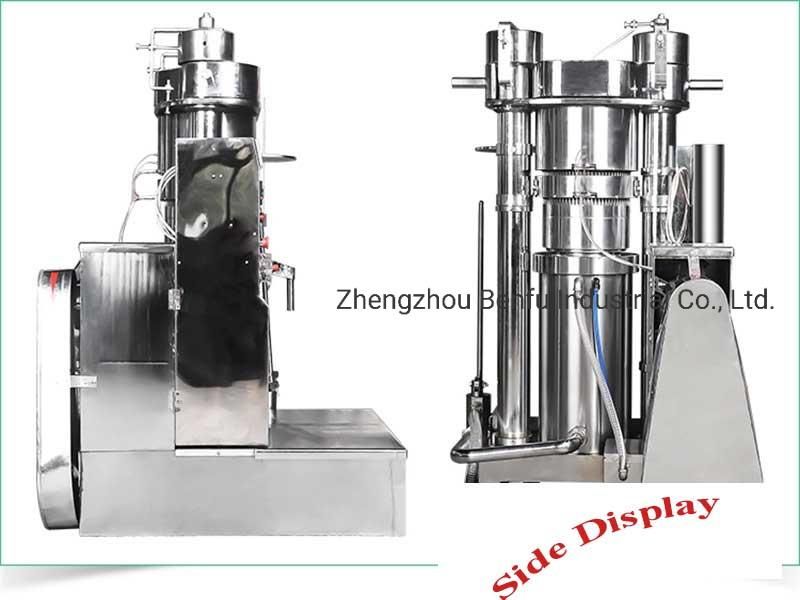 Moringa Seed Mustard Rapeseed Avocado Sunflower Peanut Soybean Coconut Oilve Vegetable Edible Cold Screw Oil Making Extraction Mill Expeller Press Machine