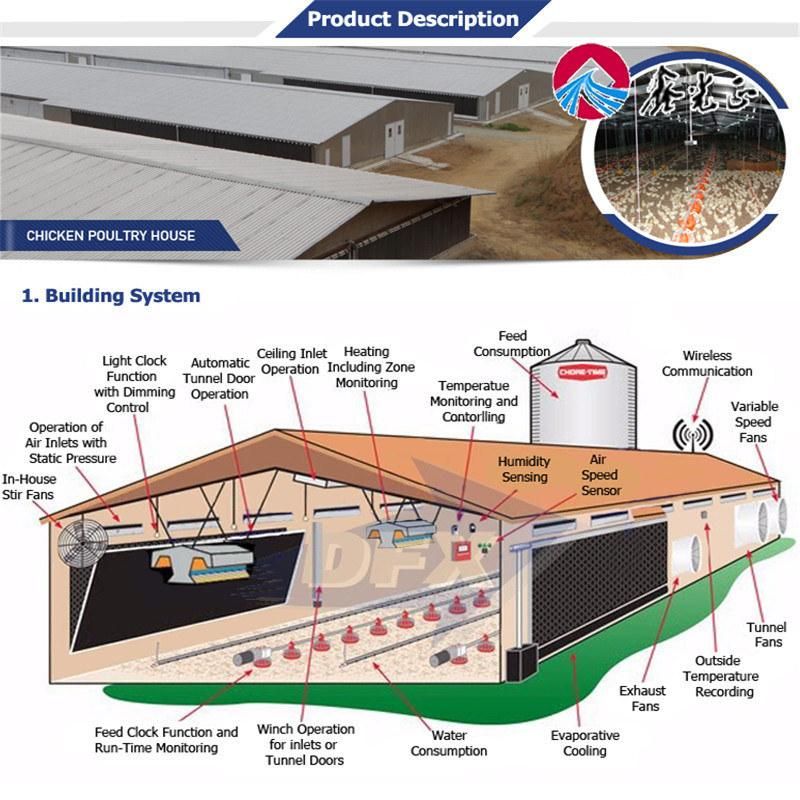 One-Stop Poultry House Chicken Farm