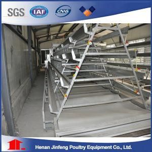 a Type Poultry Chicken Equipment Farme Cage for Farm Use
