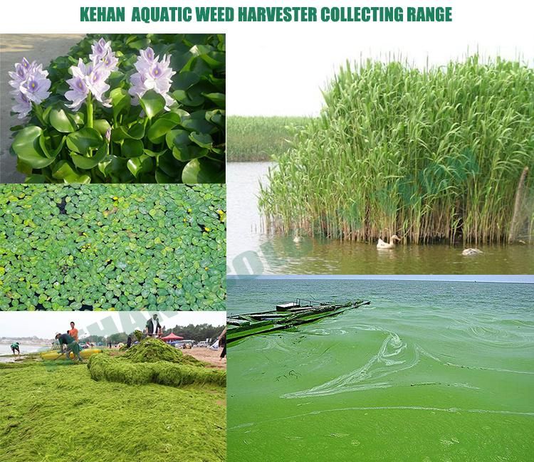 Floating Garbage Collect Boat Aquatic Weed Harvester for Sale