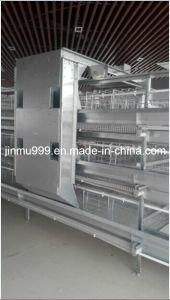 H Type Chicken Cage for Layer Chicken Farm