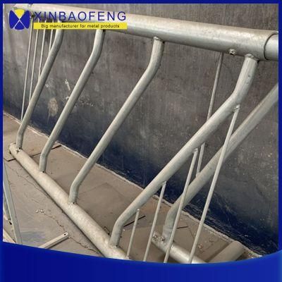 Steel Pipe Cow Free Stall